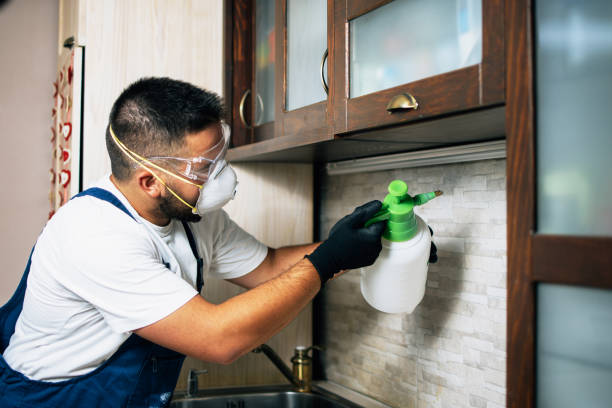 Best Affordable Pest Control Services  in Thompsons Station, TN