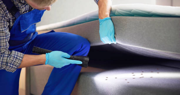 Best Mosquito Control Services  in Thompsons Station, TN