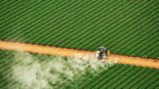 Best Best Pest Control Companies  in Thompsons Station, TN