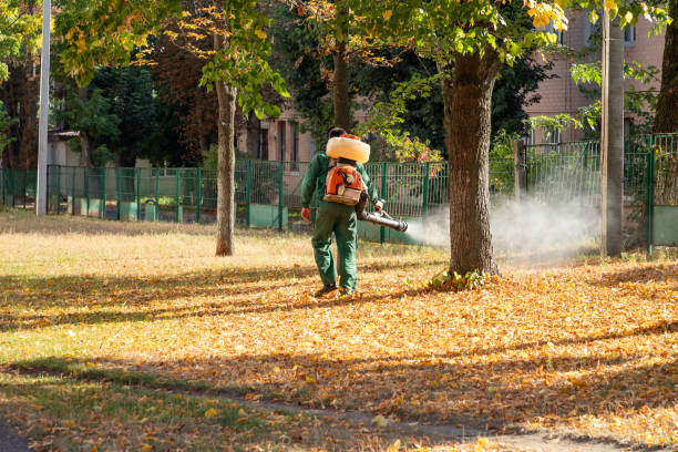 Wasp Removal Services in Thompsons Station, TN
