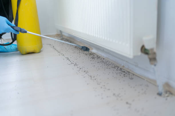 Best Pest Control Near Me  in Thompsons Station, TN